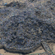 Image for article titled The Hajj’s massive scale, seen from the air